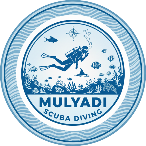 Mulyadi-Scuba-Diving-Chairman-PANLES-Paniis-Village-Logo